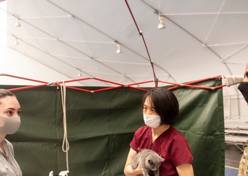 Fleet Activities Yokosuka Veterinary Treatment Facility Hosts Ikego Clinic