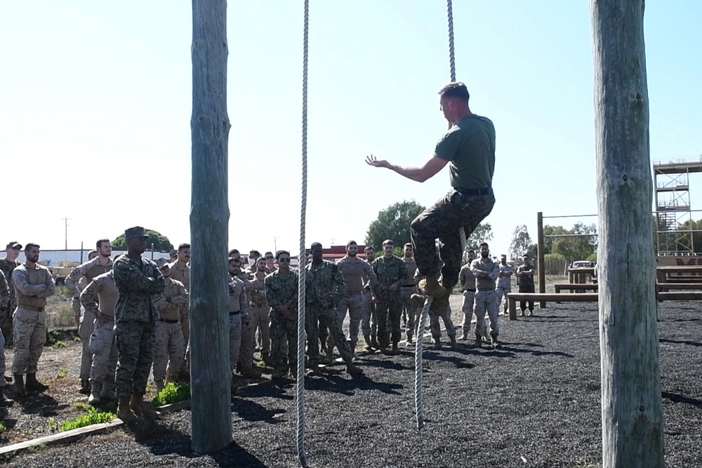 Exercise Lisa Azul 2021