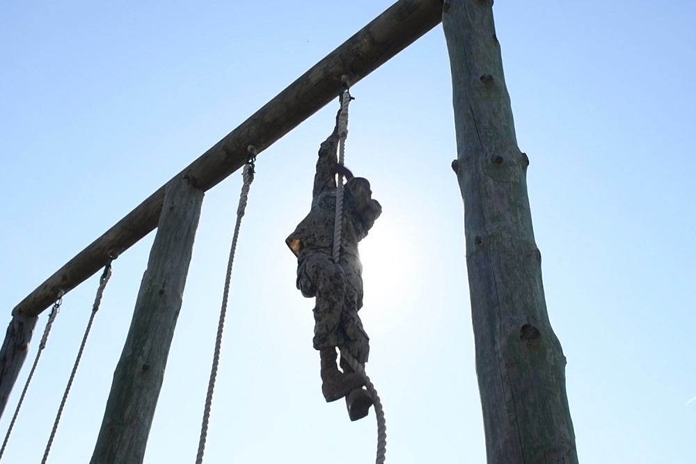 Exercise Lisa Azul 2021