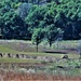 New range training area being built near Range 4 at Fort McCoy