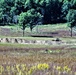 New range training area being built near Range 4 at Fort McCoy