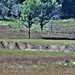 New range training area being built near Range 4 at Fort McCoy