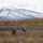 ‘Spartans’ and ‘Sugar Bears’ conduct airborne training at JBER ‘Spartans’ and ‘Sugar Bears’ conduct airborne training at JBER
