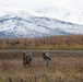 ‘Spartans’ and ‘Sugar Bears’ conduct airborne training at JBER