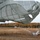 ‘Spartans’ and ‘Sugar Bears’ conduct airborne training at JBER ‘Spartans’ and ‘Sugar Bears’ conduct airborne training at JBER