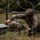 2021 U.S. Army Best Warrior Competition