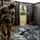 2021 U.S. ARMY BEST WARRIOR COMPETITION