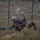 2021 U.S. Army Best Warrior Competition