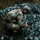 2021 U.S. Army Best Warrior Competition