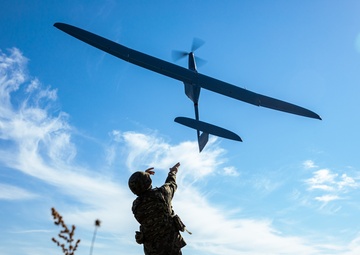 Rifle Focus: Battle Group Poland's capstone maneuver exercise