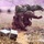 2021 U.S. Army Best Warrior Competition