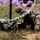 2021 U.S. Army Best Warrior Competition