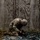 2021 U.S. Army Best Warrior Competition