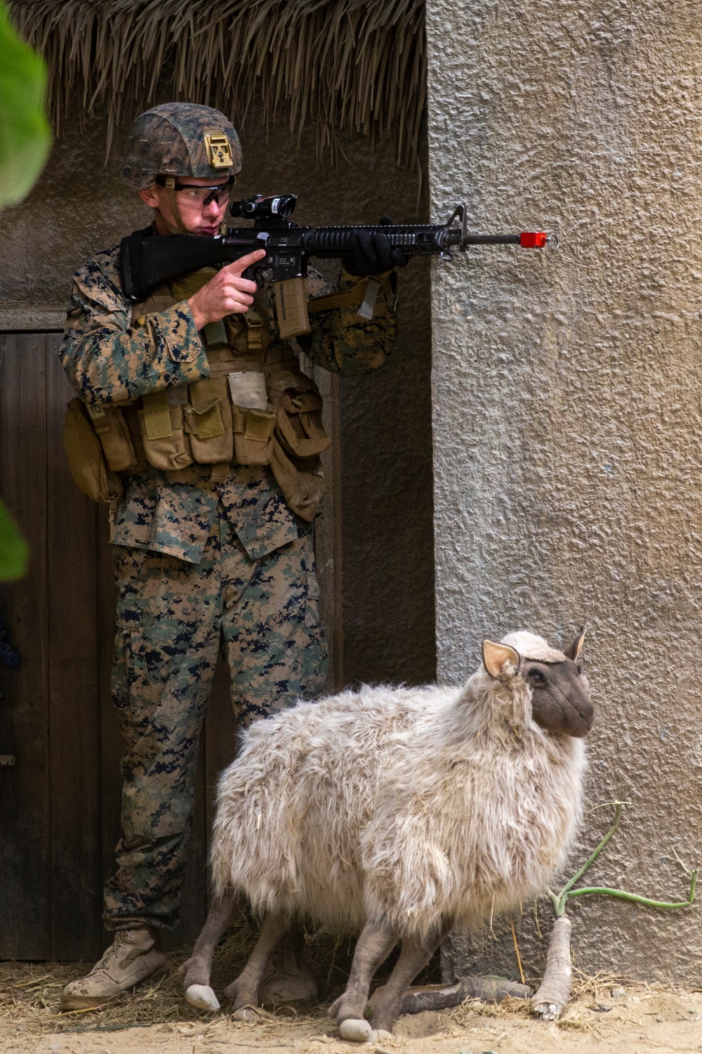 8th ESB  Infantry Immersion Trainer