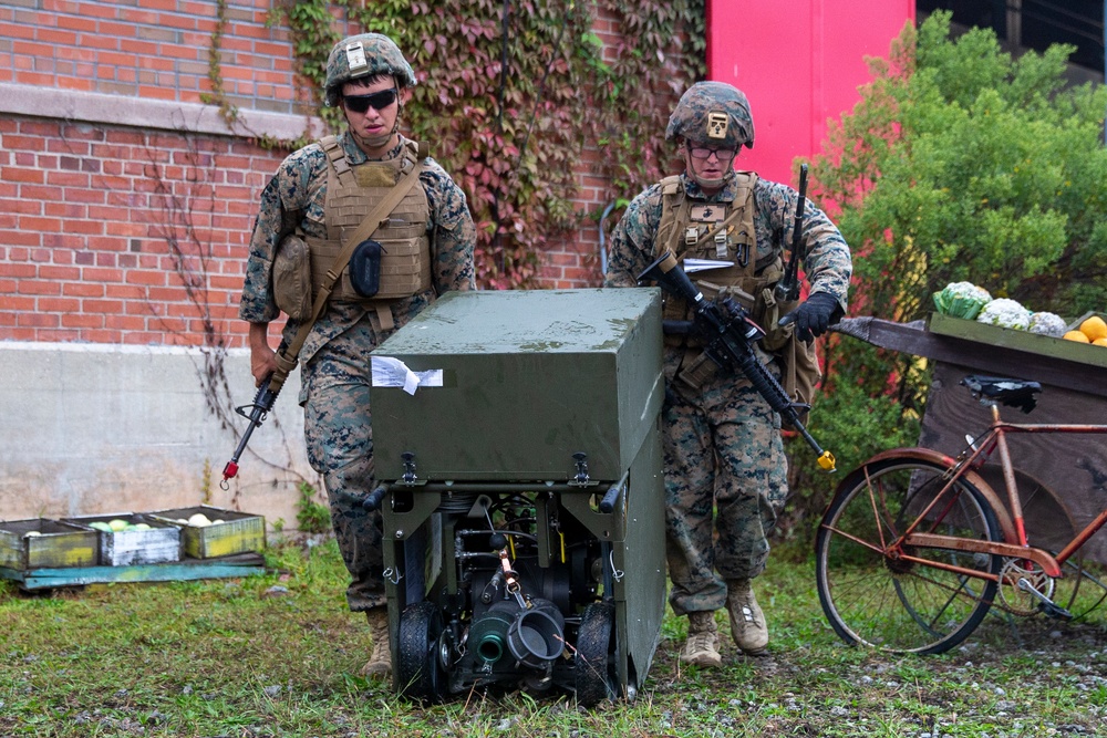 8th ESB Infantry Immersion Trainer