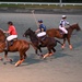 Coast Guard officer competes to participate in national polo tournament