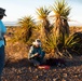 Nellis Natural Resources Program strives to protect Mojave desert tortoise population