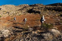 Nellis Natural Resources Program strives to protect Mojave desert tortoise population