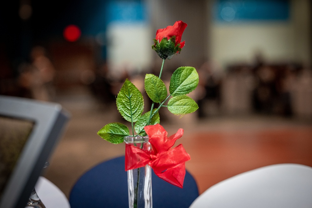 74th Annual Air Force Ball