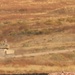 1-68 AR conducts gunnery table VI at Fort Carson, Colorado, Oct. 7, 2021