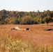 New range training area being built near Range 4 at Fort McCoy