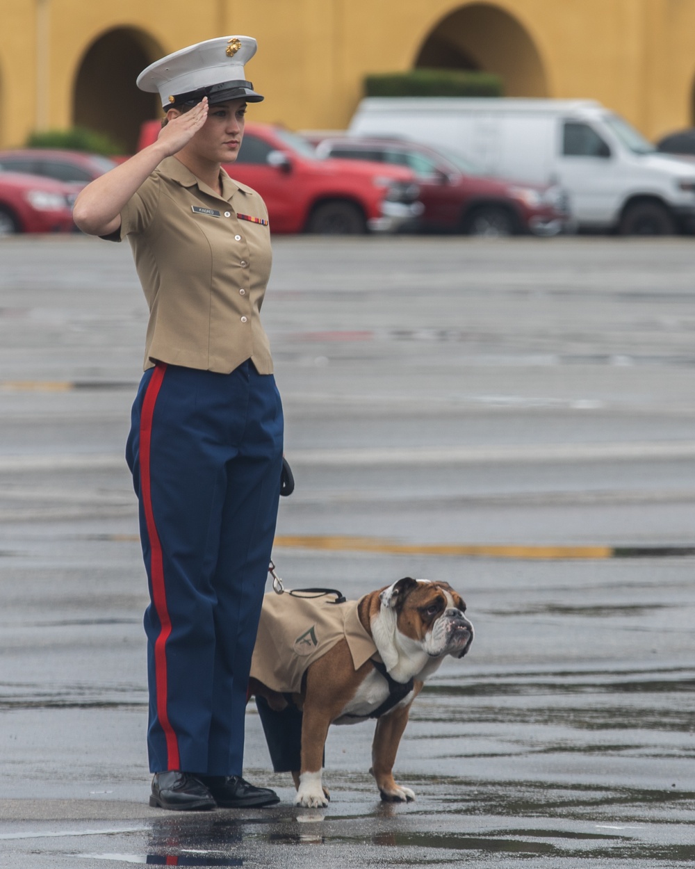 Alpha Company Graduation