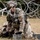 2021 U.S. Army Best Warrior Competition 2021 U.S. Army Best Warrior Competition