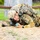 2021 U.S. Army Best Warrior Competition 2021 U.S. Army Best Warrior Competition