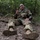 2021 U.S. Army Best Warrior Competition 2021 U.S. Army Best Warrior Competition