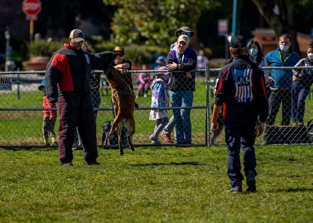 K-9 Heroes: Bark at the Park