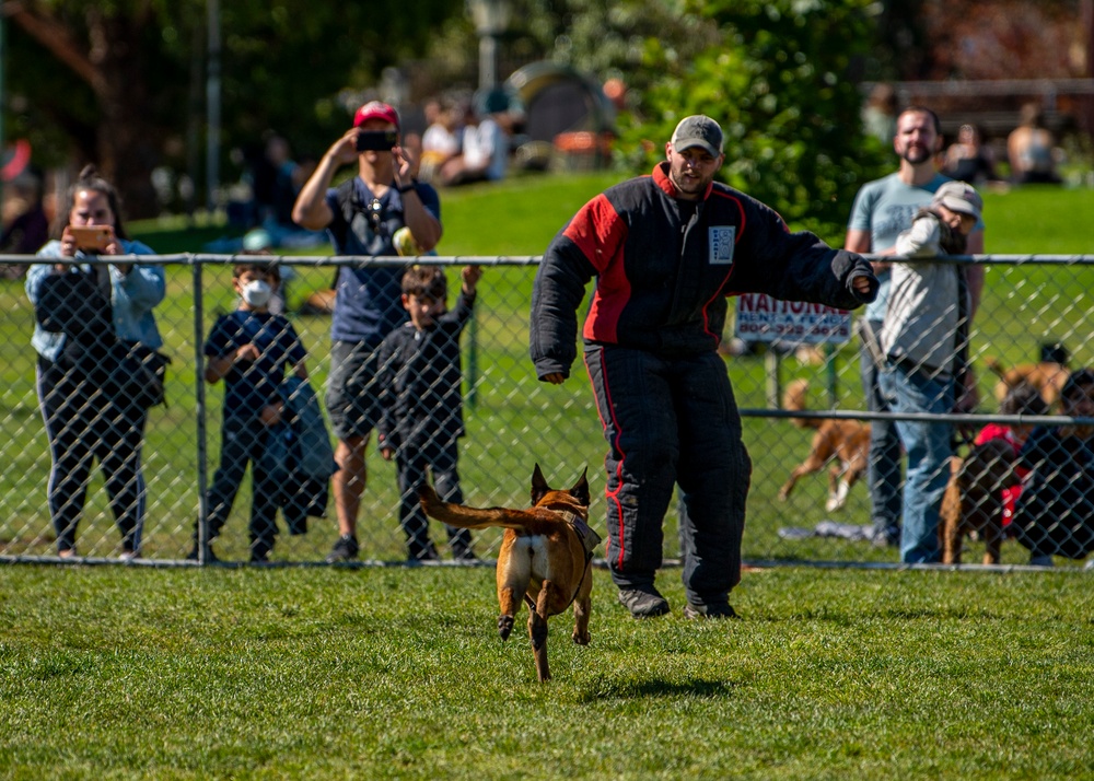K-9 Heroes: Bark at the Park