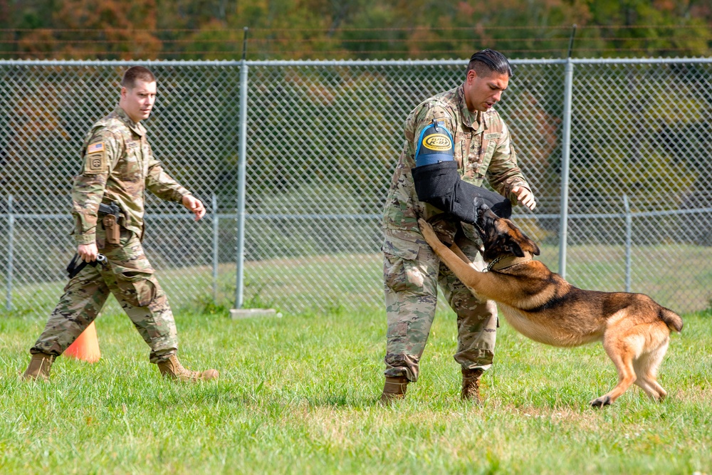 928th Military Working Dog Detachment