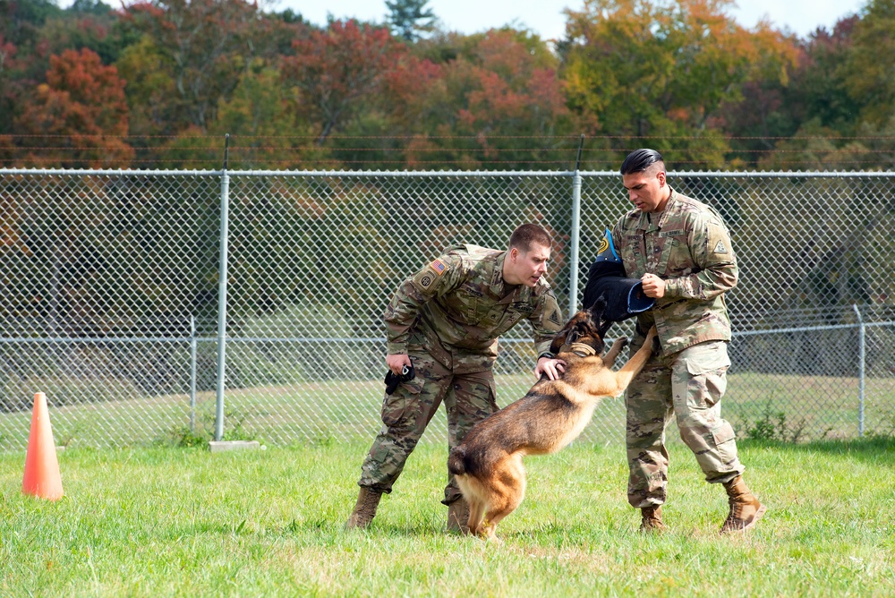 928th Military Working Dog Detachment