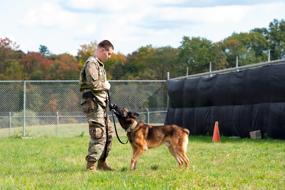 928th Military Working Dog Detachment