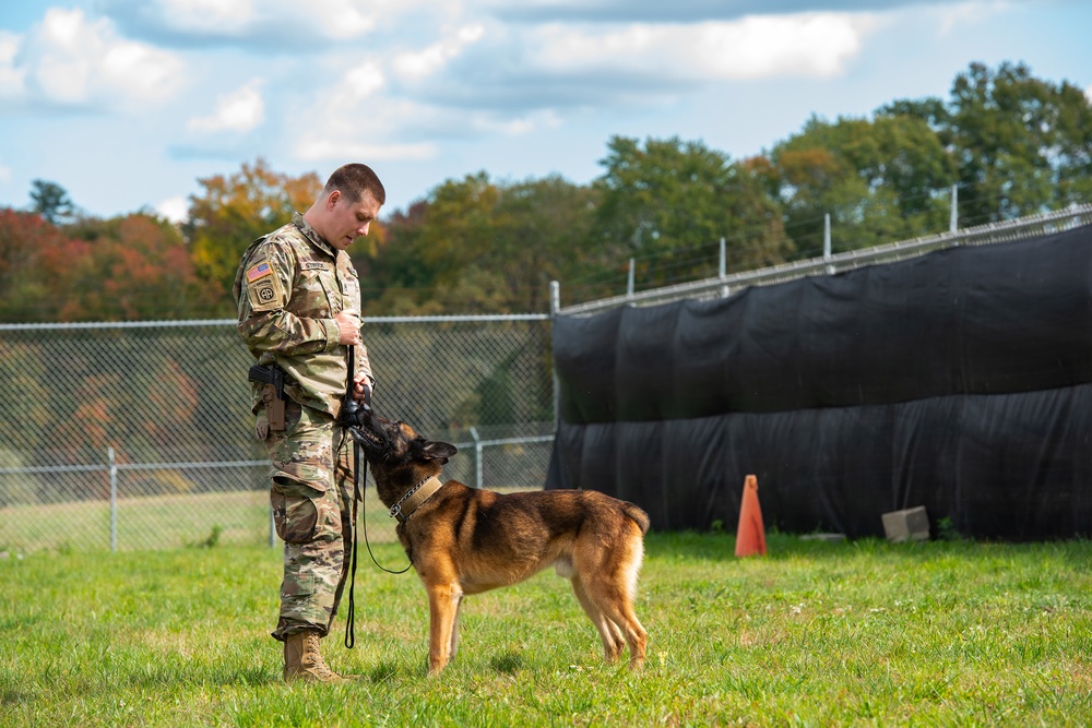 928th Military Working Dog Detachment