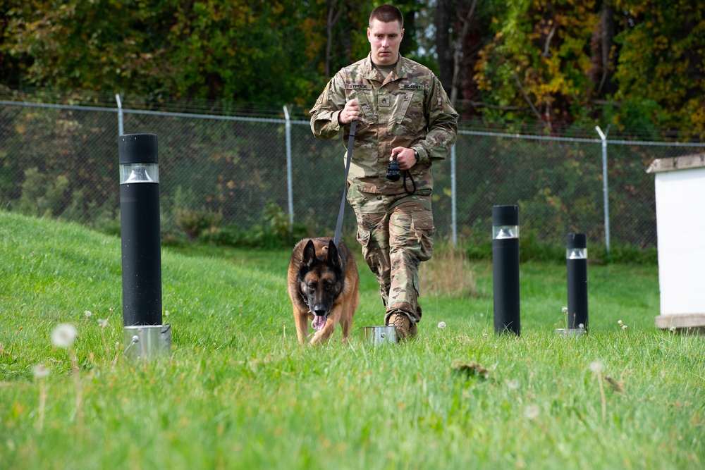 928th Military Working Dog Detachment