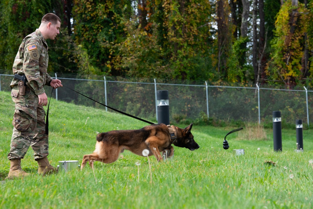 928th Military Working Dog Detachment