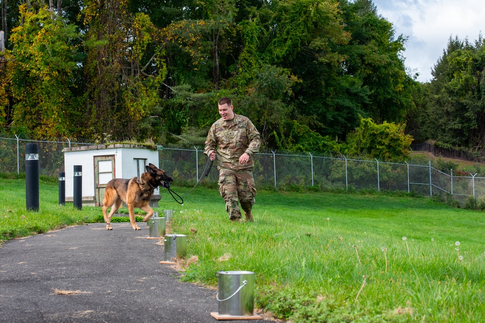 928th Military Working Dog Detachment