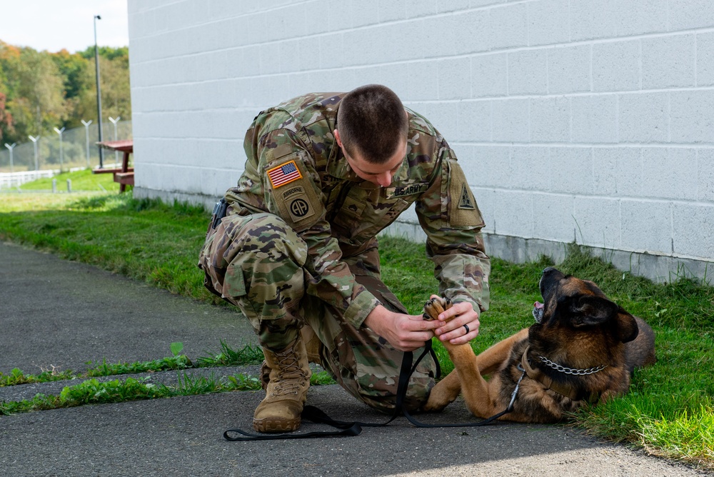 928th Military Working Dog Detachment