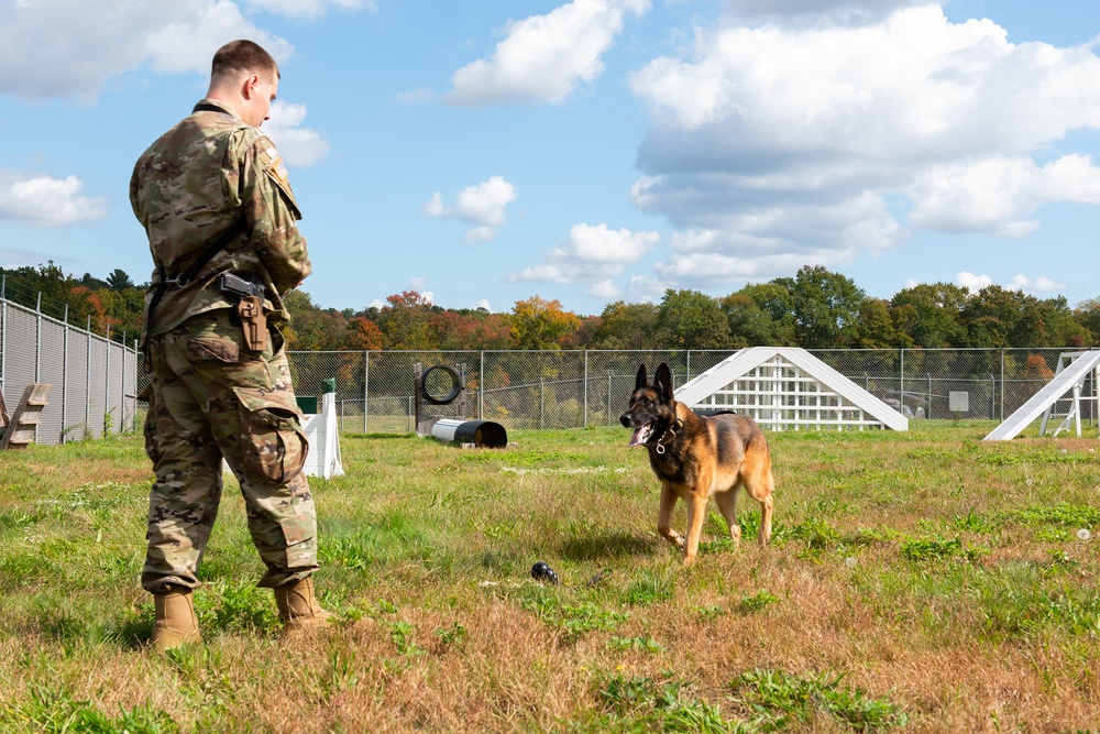 928th Military Working Dog Detachment