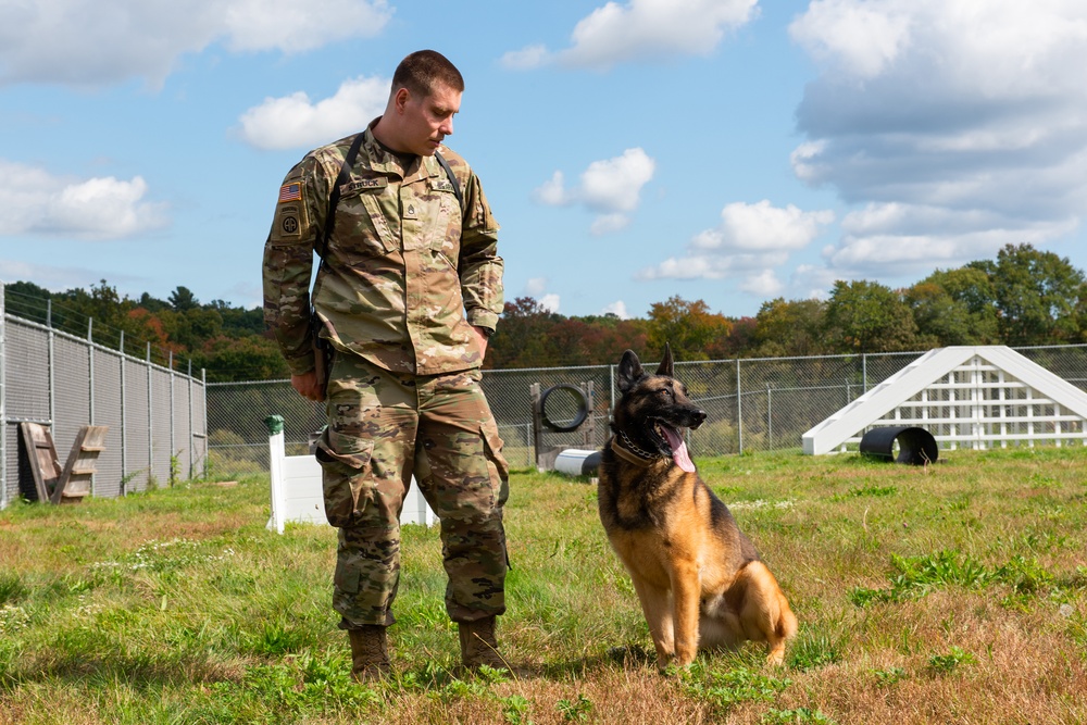 928th Military Working Dog Detachment