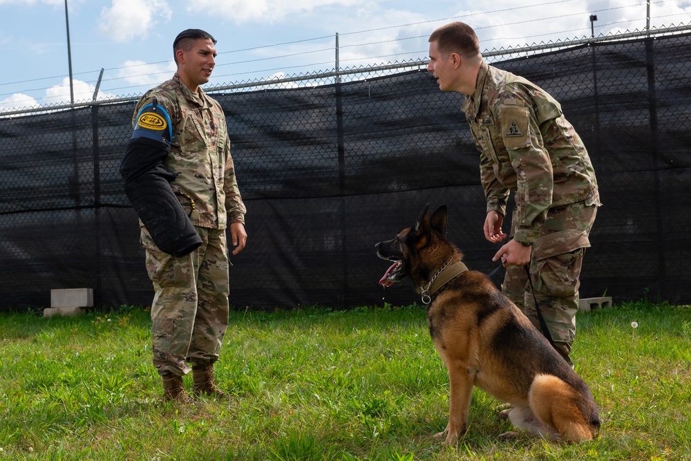 928th Military Working Dog Detachment