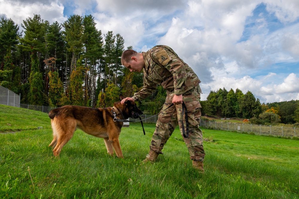 928th Military Working Dog Detachment