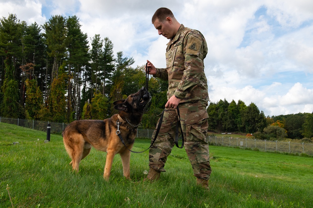 928th Military Working Dog Detachment