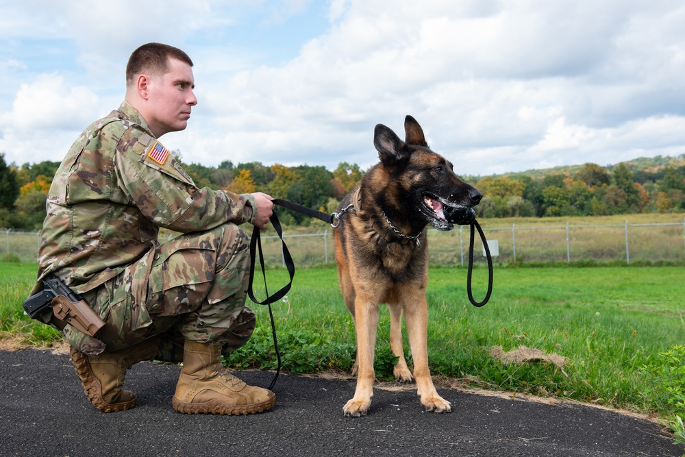 928th Military Working Dog Detachment