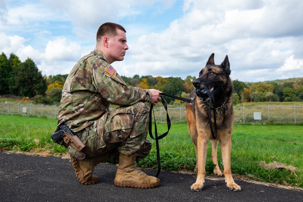 928th Military Working Dog Detachment