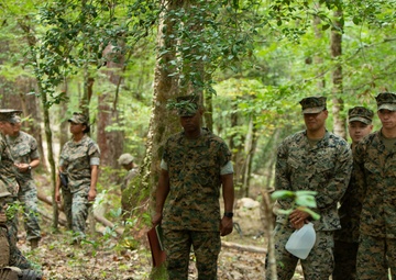 SMMC visits Camp Geiger to observe IMC perform the Strength Power Assessment