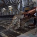 AUAB all female aircrew takes charge