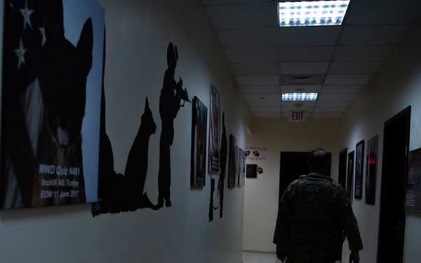 Partners in crime... prevention