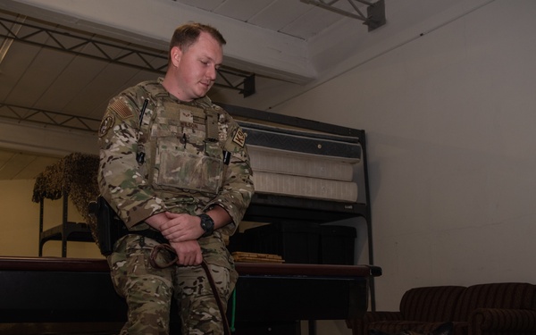 Partners in crime... prevention